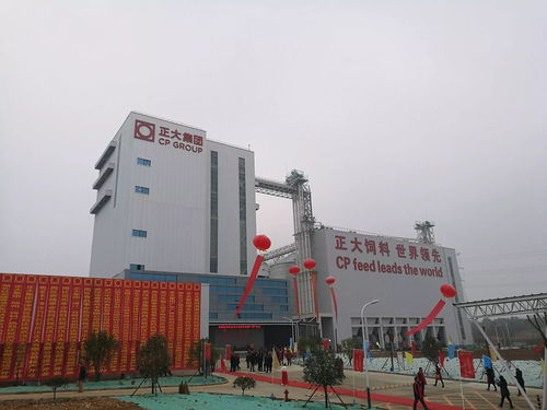 新洲億元項目彰顯高效建設，實業投資激發區域經濟新活力